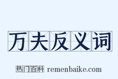 万夫反义词是什么意思的图片